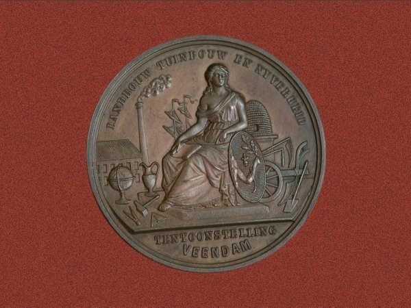 penningtentoonstellinglandbouwtuinbouwennijverheidveendam1873voorzijde.jpg