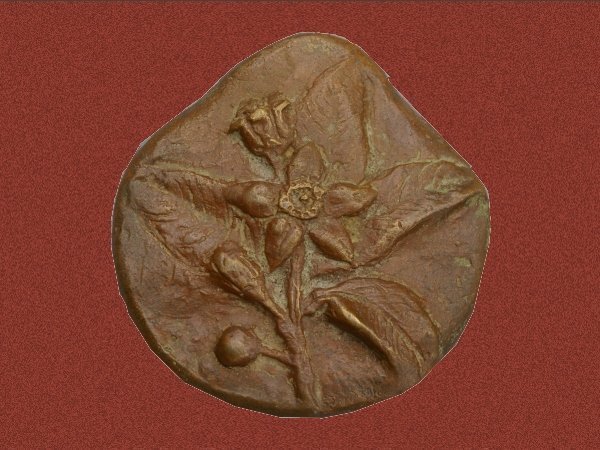 penningrijksuniversiteitgroningenpromotiehvandendoolfarmacie1971keerzijde.jpg